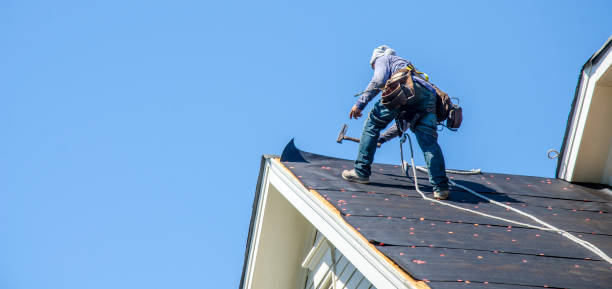 Roof Gutter Cleaning in Glenwood, AR